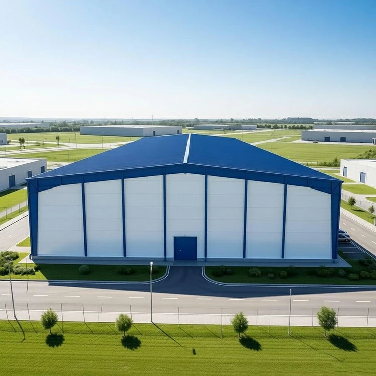 100 By 100 Metal Building factory